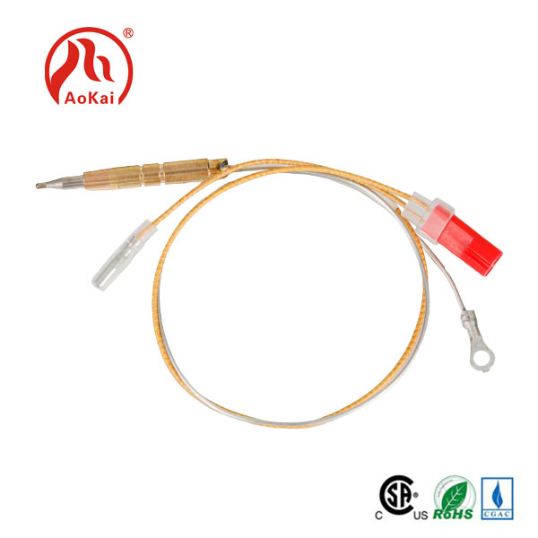 Bakit mahalaga ang pagluluto ng thermocouple para sa perpektong mga resulta?
